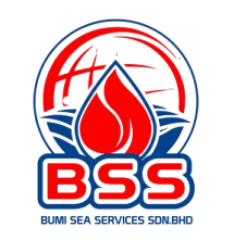 BSS Logo